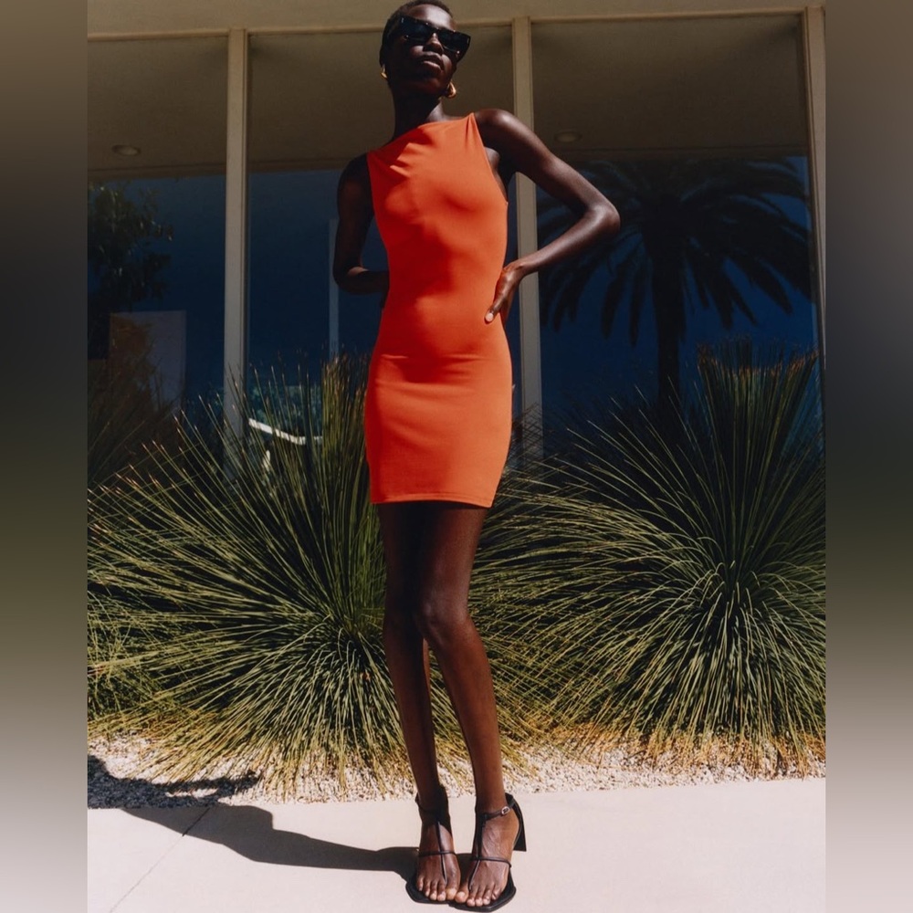 Aritzia Contour Dress